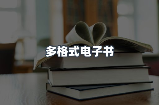 多格式电子书